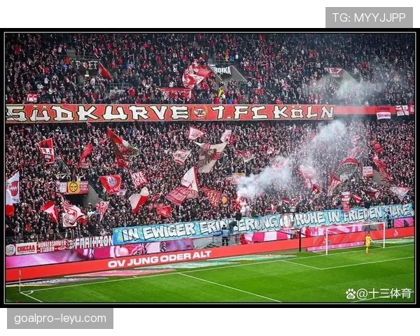 沙尔克05新赛季展望：挑战与机遇并存，球迷期盼稳健表现