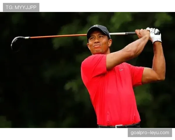 帕尔默比赛精彩纷呈,选手稳健发挥尽显卓越技艺与激烈角逐 帕尔默比赛精彩纷呈,选手稳健发挥尽显卓越技艺与激烈角逐