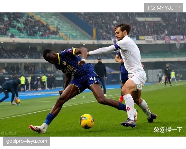 维罗纳进攻战术革新成效显著，新赛季表现引人期待